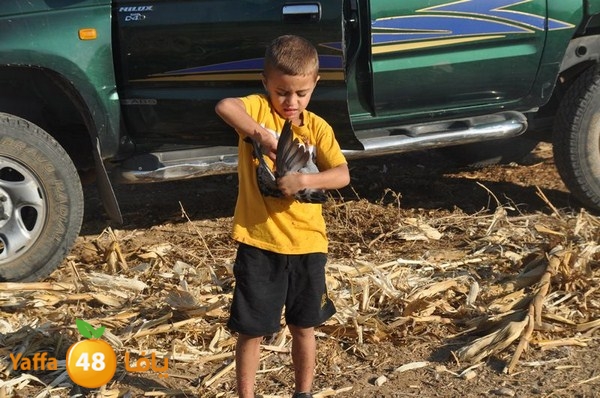 7amam lud monir 908 (4).JPG